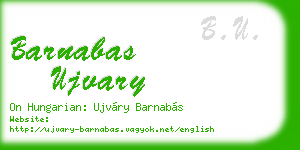 barnabas ujvary business card