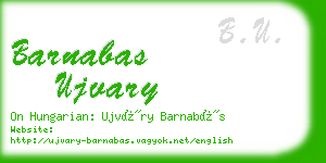 barnabas ujvary business card